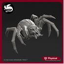 Pumpkin Spider 5