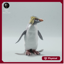 Rockhopper Penguin