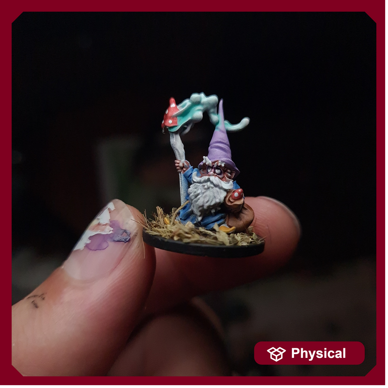 Gnome Wizard