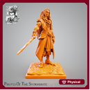 Pirate Bayazid - Elven Corsair - 54mm