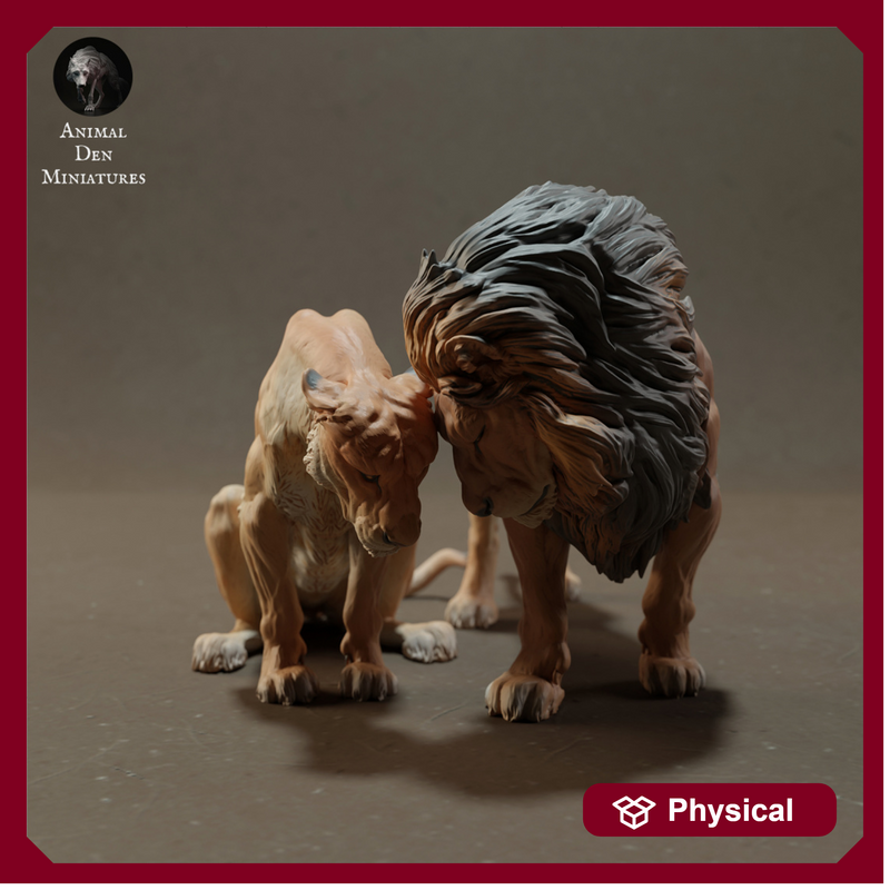 Lion and Lioness Cuddle 1/43