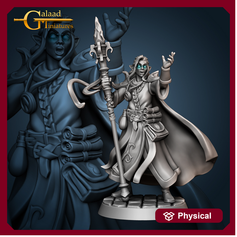 Elf Wizard