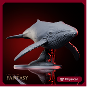 Humpback Whale - Only-Games