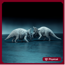 Pachyrhinosaurus duel 1-35 scale dinosaur fight