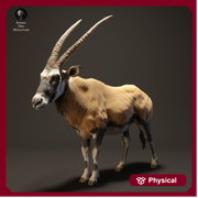 Gemsbok 1/20 - Only-Games
