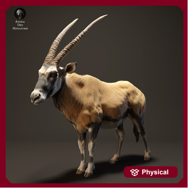 Gemsbok 1/20 - Only-Games