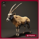 Gemsbok 1/20