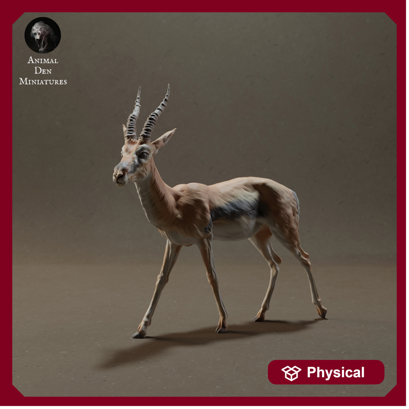 Thomson's Gazelle 1/20