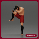 Martial Arts Fighter in Action Pose