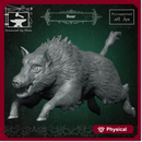 Boar