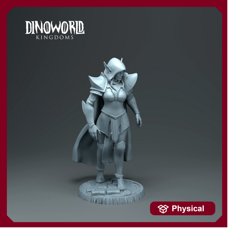 Dark elf heroe