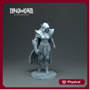 Dark elf heroe