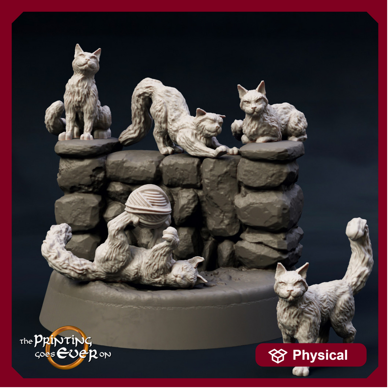 House Cats - 5 Poses