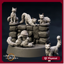 House Cats - 5 Poses