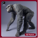 Chimpanzee 1/43