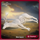 Deer Carcass