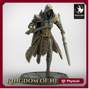 Elf Soldier Spear Dagger Charge