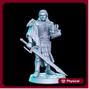 Arnodin (elven deathknight leader) - 32mm - DnD