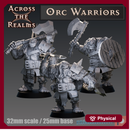 Orc Warriors