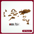 Kraken Monster - The Lost Islands - Printable Scenery Wargaming Terrain D&D, DnD Pirates