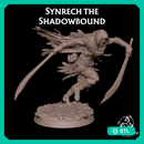 Synrech the Shadowbound - Shadowpact Assassin