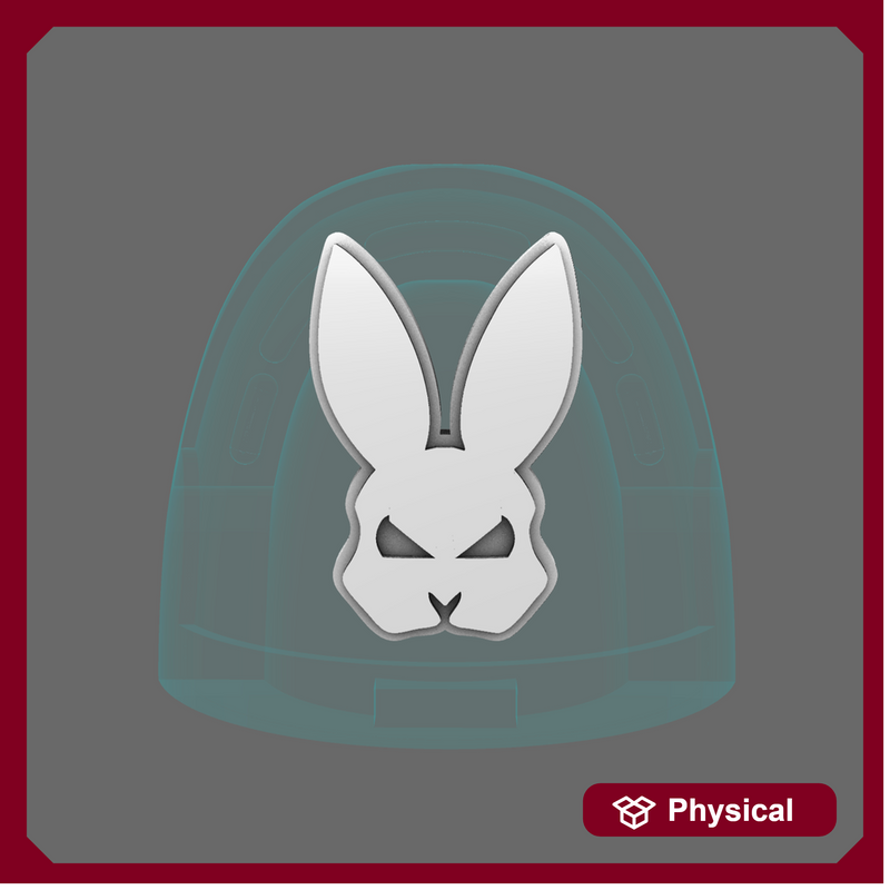 Bunny Boys V10R Shoulder Symbols X 60