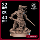 Faolan Shadowblades - 40mm / 32mm Scale