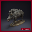 Indian Wild Boar 1/20