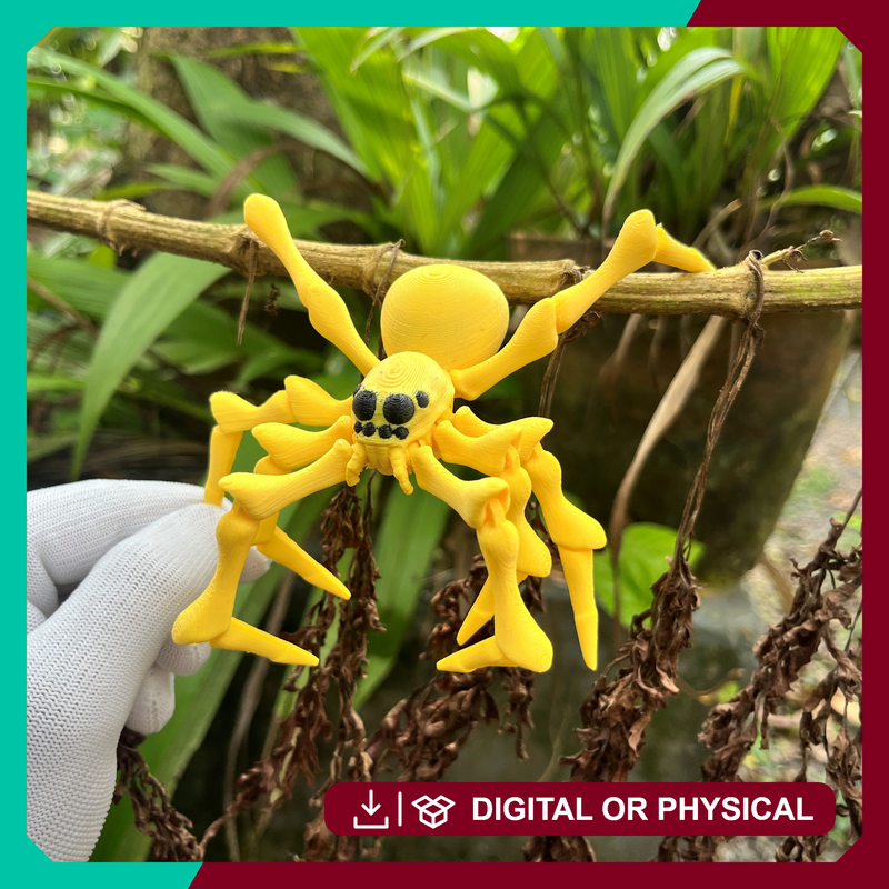 Flexi Spider 2.0