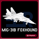 MiG-31B Foxhound A (Loaded)