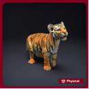 Bengal Tiger Cub