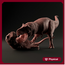 Tyrannosaurus fight 1-35 scale dinosaur