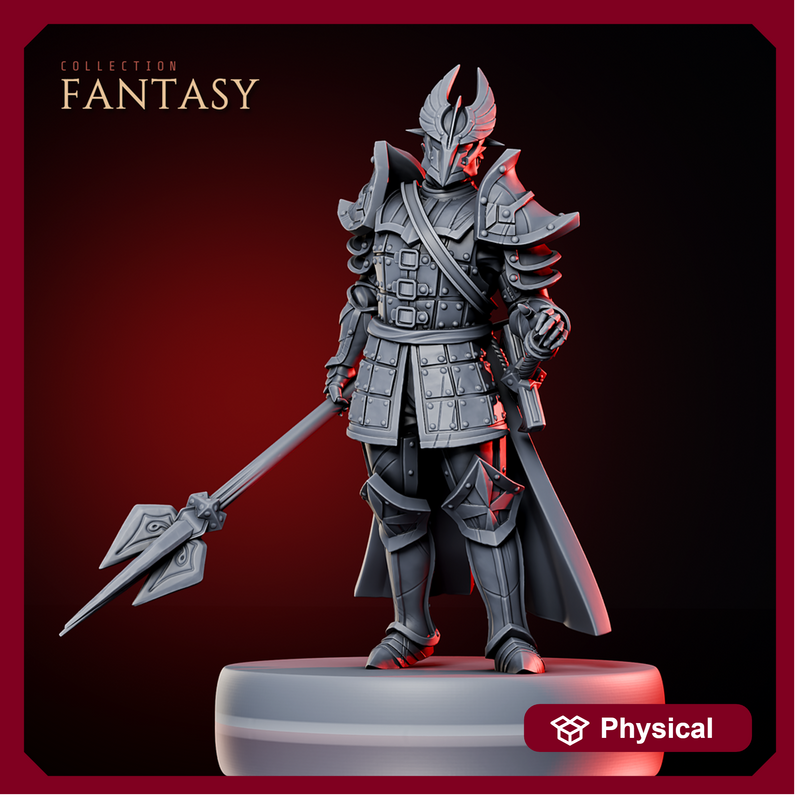 Paladin 1 - Only-Games
