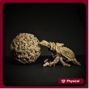 Death Beetle and Undead Ball