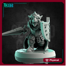 (0212) Male goblin warrior with complete armor sword and shield