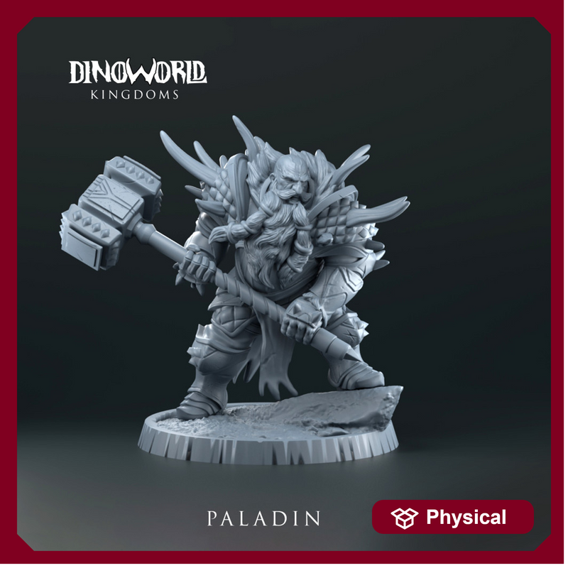Dwarft paladin