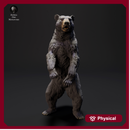 Black Bear Standing 1/43