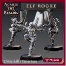 Elf Rogue