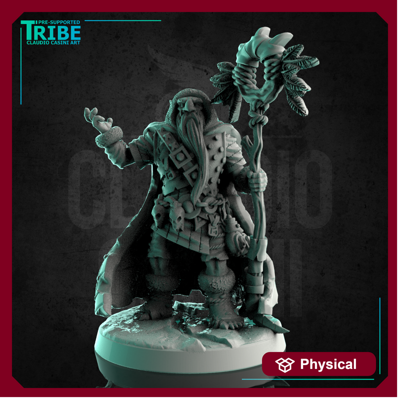 (0252) Male half troll shaman wizard sorceror with magic staff
