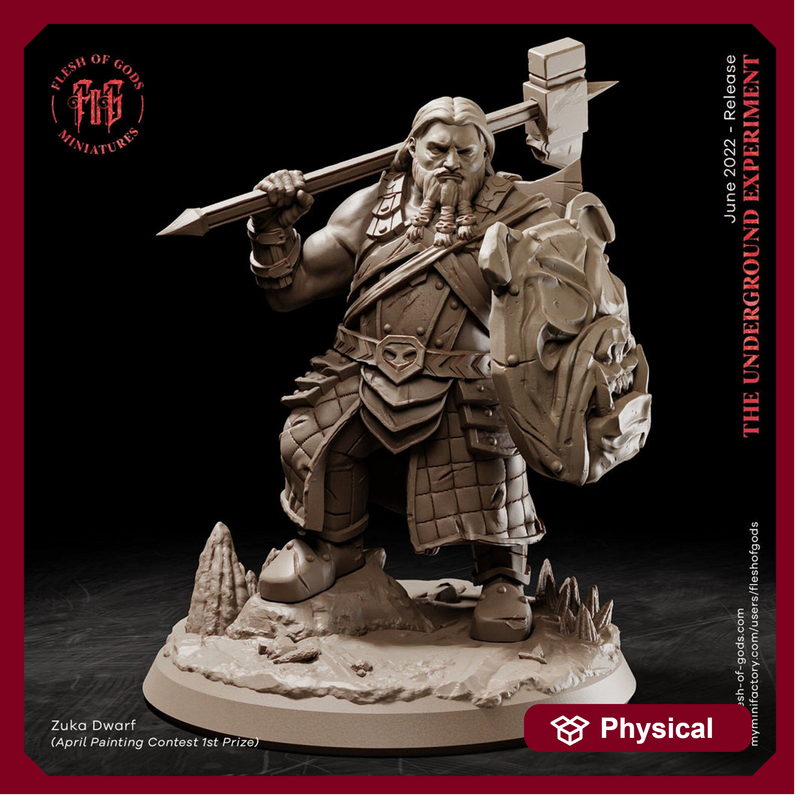 Dwarf Fighter Paladin Shield and Battle Hammer | 28mm,32mm Scale ,50mm Tall | Dungeons and Dragons | Figurine mini - D&D 5e | Flesh of Gods - Only-Games