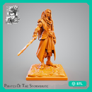 Pirate Bayazid - Elven Corsair - STL only