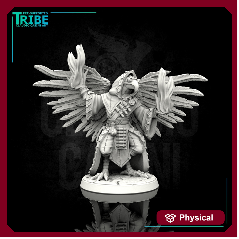 (0077) Male featherfolk birdman wizard with flame spell