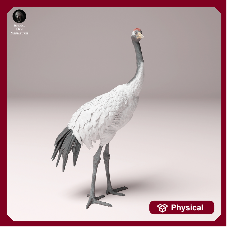 Red-Crowned Crane 1/87