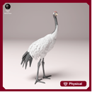 Red-Crowned Crane 1/87