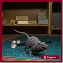 Giant Rat 08 - TytanTroll Miniatures - DnD - Fantasy