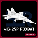 MiG-25P Foxbat A (Clean)