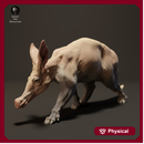 Aardvark 1/20