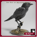 Magpie Perch Wild