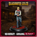 Outlaw Bandit - Ned