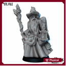 Old wizard